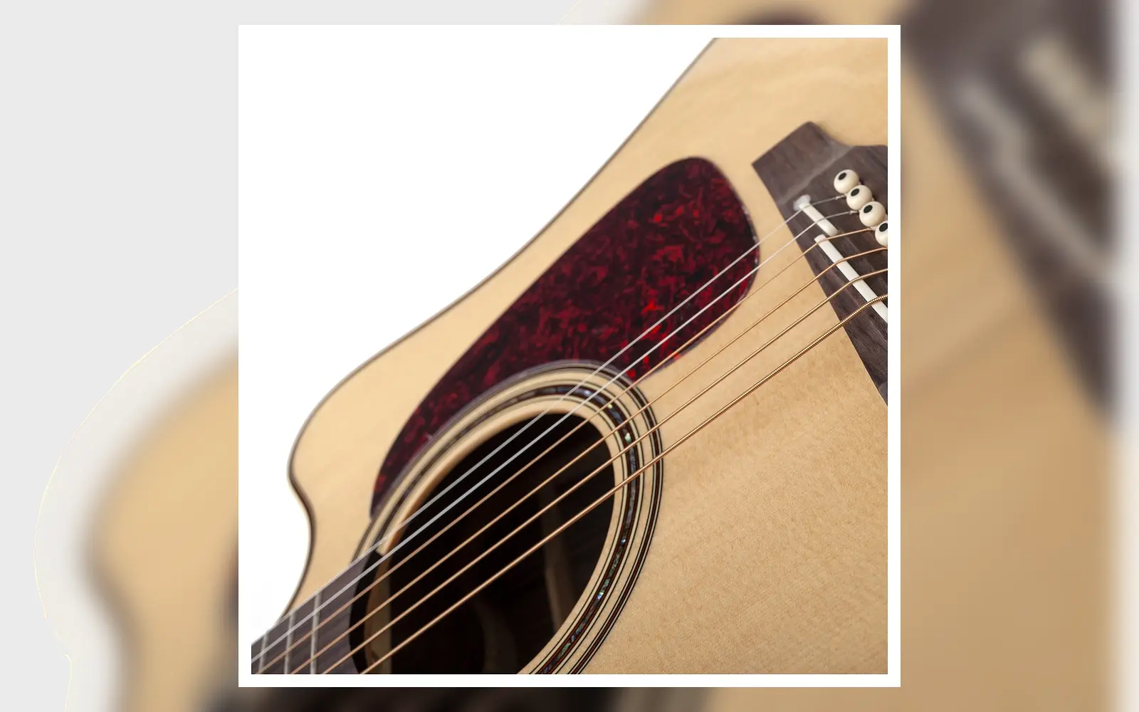 ภาพถ่ายจริงบอดี้ Takamine P5DC เห็นโรเซ็ต ปิกการ์ด บริดจ์และลายไม้ชัดเจน สำหรับหน้ารับซื้อ Takamine